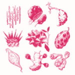 track-artwork